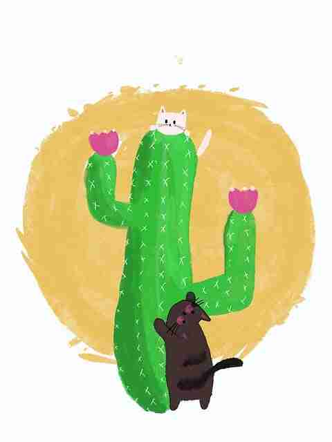 2024.05.24 【黑料资源】硬核幕后深扒 - 绝密档案,绝密档案真实的记录