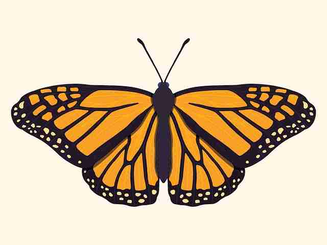 全网鉴黄师官网入口用户画像深度探索·深夜慎点，全网鉴定