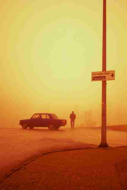 蘑菇视频电脑版#矩阵策略#拆墙#彩蛋级#行业首发,蘑菇vp